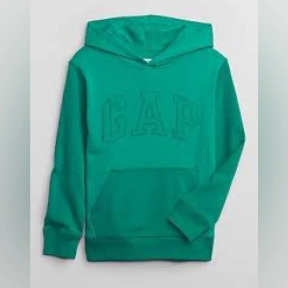 Gap kids Jade Fountain colorblock Hoodie and Pants size xs